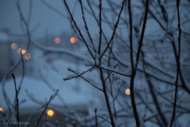 more snowy lights