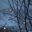 more snowy lights.jpg